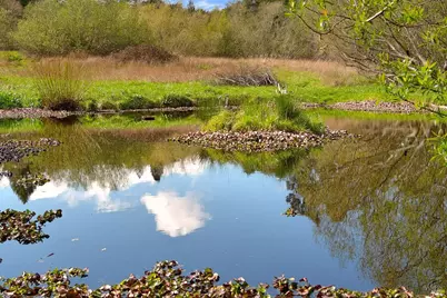 755 Watertrough Road, Sebastopol, CA 95472 - Photo 13