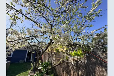 147 N McPherson Street, Fort Bragg, CA 95437 - Photo 25