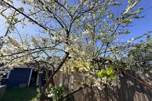 147 N McPherson St, Fort Bragg, CA 95437 - Photo 25