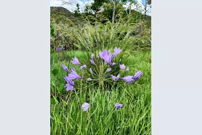 8700 Butts Canyon Road, Pope Valley, CA 94567 - Photo 23