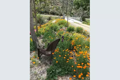 8700 Butts Canyon Road, Pope Valley, CA 94567 - Photo 21