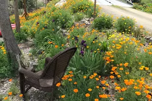 8700 Butts Canyon Rd, Pope Valley, CA 94567 - Photo 21