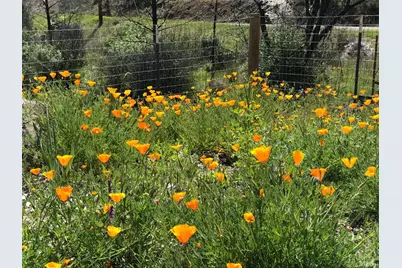 8700 Butts Canyon Road, Pope Valley, CA 94567 - Photo 19