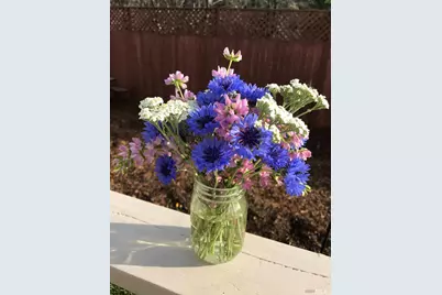 8700 Butts Canyon Road, Pope Valley, CA 94567 - Photo 13