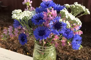 8700 Butts Canyon Rd, Pope Valley, CA 94567 - Photo 13