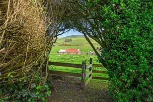 14550 Valley Ford Estero Rd, Valley Ford, CA 94972 - Photo 3