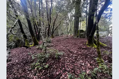 2149 Goose Road, Willits, CA 95490 - Photo 7