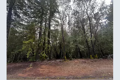 2149 Goose Road, Willits, CA 95490 - Photo 1