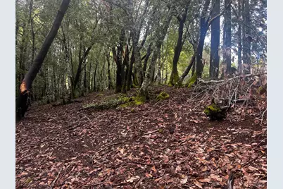 2149 Goose Road, Willits, CA 95490 - Photo 3