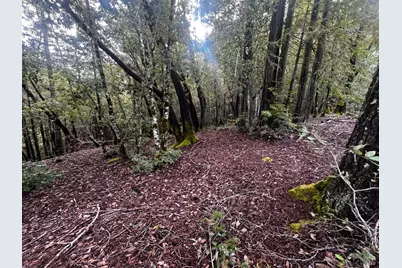 2149 Goose Road, Willits, CA 95490 - Photo 5