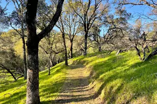 2843 Wright Ranch Ln, Healdsburg, CA 95448 - Photo 75