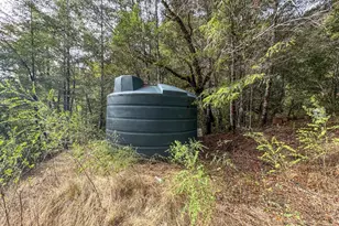 545 Bear Pen Rd, Piercy, CA 95587 - Photo 5