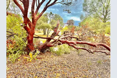 3471 Park Street Street, Clearlake, CA 95422 - Photo 9