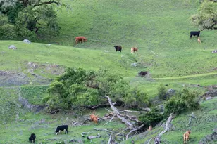 2700 Geysers Rd, Geyserville, CA 95441 - Photo 33