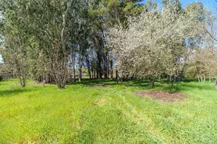 19360 Linden St, Sonoma, CA 95476 - Photo 31