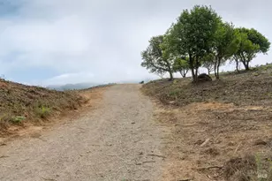 406 Donahue St, Sausalito, CA 94965 - Photo 19