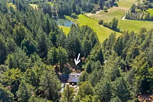 17600 Willow Creek Rd, Occidental, CA 95465 - Photo 89