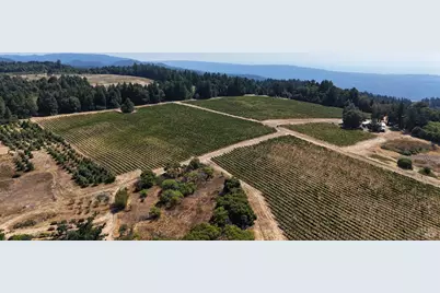 39000 Crispin Road, Manchester, CA 95459 - Photo 5