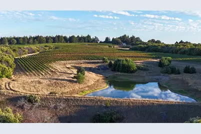 39000 Crispin Road, Manchester, CA 95459 - Photo 39