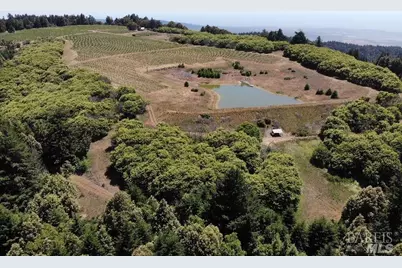 39000 Crispin Road, Manchester, CA 95459 - Photo 3