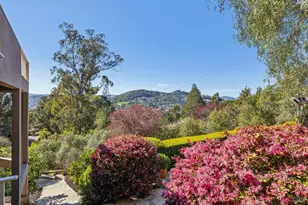99 Deer Park Ave, San Rafael, CA 94901 - Photo 77