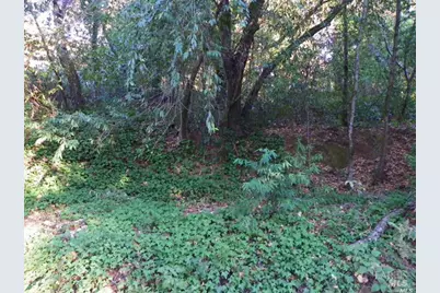 9465 Westside Road, Forestville, CA 95436 - Photo 5