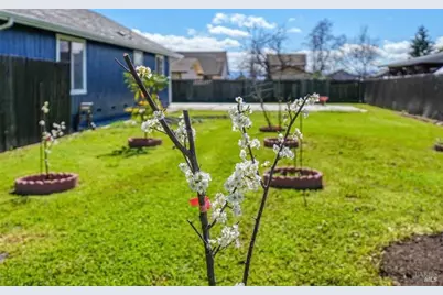 3483 Beach Street, Nice, CA 95464 - Photo 27