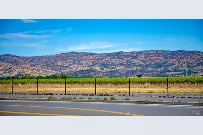 15 Camelia Drive Drive, Napa, CA 94558 - Photo 31