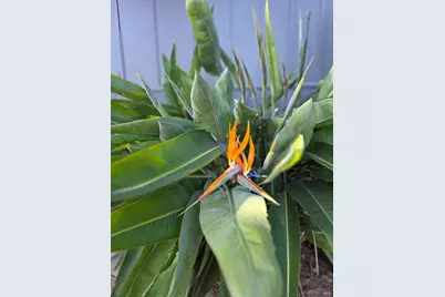 2100 Center Road, Novato, CA 94947 - Photo 31