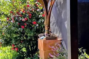 2100 Center Rd, Novato, CA 94947 - Photo 11
