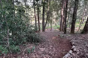 4000 Ridgewood Rd, Willits, CA 95490 - Photo 37