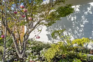 42 Billou St, San Rafael, CA 94901 - Photo 53