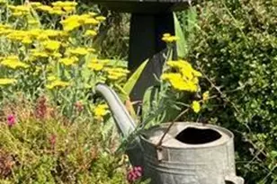 43700 Mountain View Rd, Manchester, CA 95459 - Photo 87