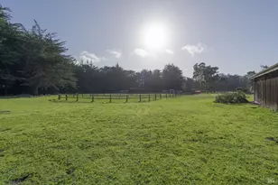 43700 Mountain View Rd, Manchester, CA 95459 - Photo 67