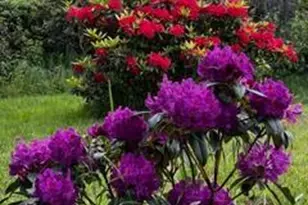 43700 Mountain View Rd, Manchester, CA 95459 - Photo 81