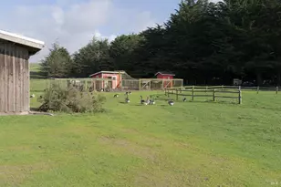 43700 Mountain View Rd, Manchester, CA 95459 - Photo 43