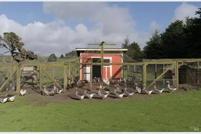 43700 Mountain View Road, Manchester, CA 95459 - Photo 47