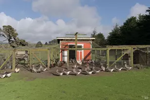 43700 Mountain View Rd, Manchester, CA 95459 - Photo 47