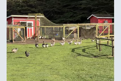 43700 Mountain View Road, Manchester, CA 95459 - Photo 45