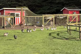 43700 Mountain View Rd, Manchester, CA 95459 - Photo 45