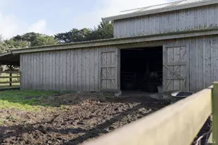 43700 Mountain View Rd, Manchester, CA 95459 - Photo 41