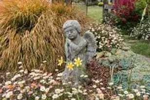 43700 Mountain View Rd, Manchester, CA 95459 - Photo 85