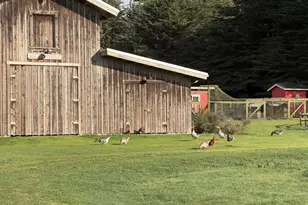 43700 Mountain View Rd, Manchester, CA 95459 - Photo 35