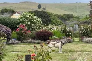 43700 Mountain View Rd, Manchester, CA 95459 - Photo 51