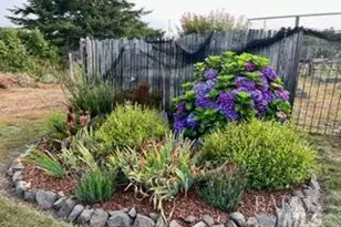 43700 Mountain View Rd, Manchester, CA 95459 - Photo 53