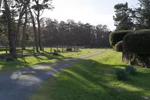 43700 Mountain View Rd, Manchester, CA 95459 - Photo 69