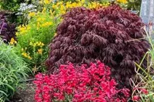 43700 Mountain View Rd, Manchester, CA 95459 - Photo 49