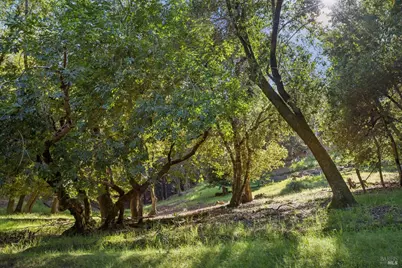 10 Arrowhead Lane, Novato, CA 94949 - Photo 21