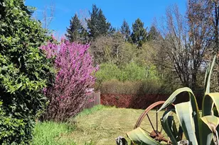 1051 S Main St, Willits, CA 95490 - Photo 55