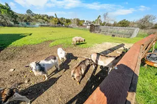 8 Circle Rd, San Rafael, CA 94903 - Photo 39